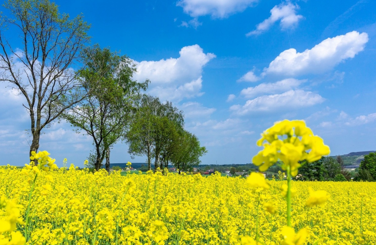 Slider na stronie głównej