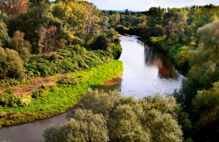 Slider na stronie głównej