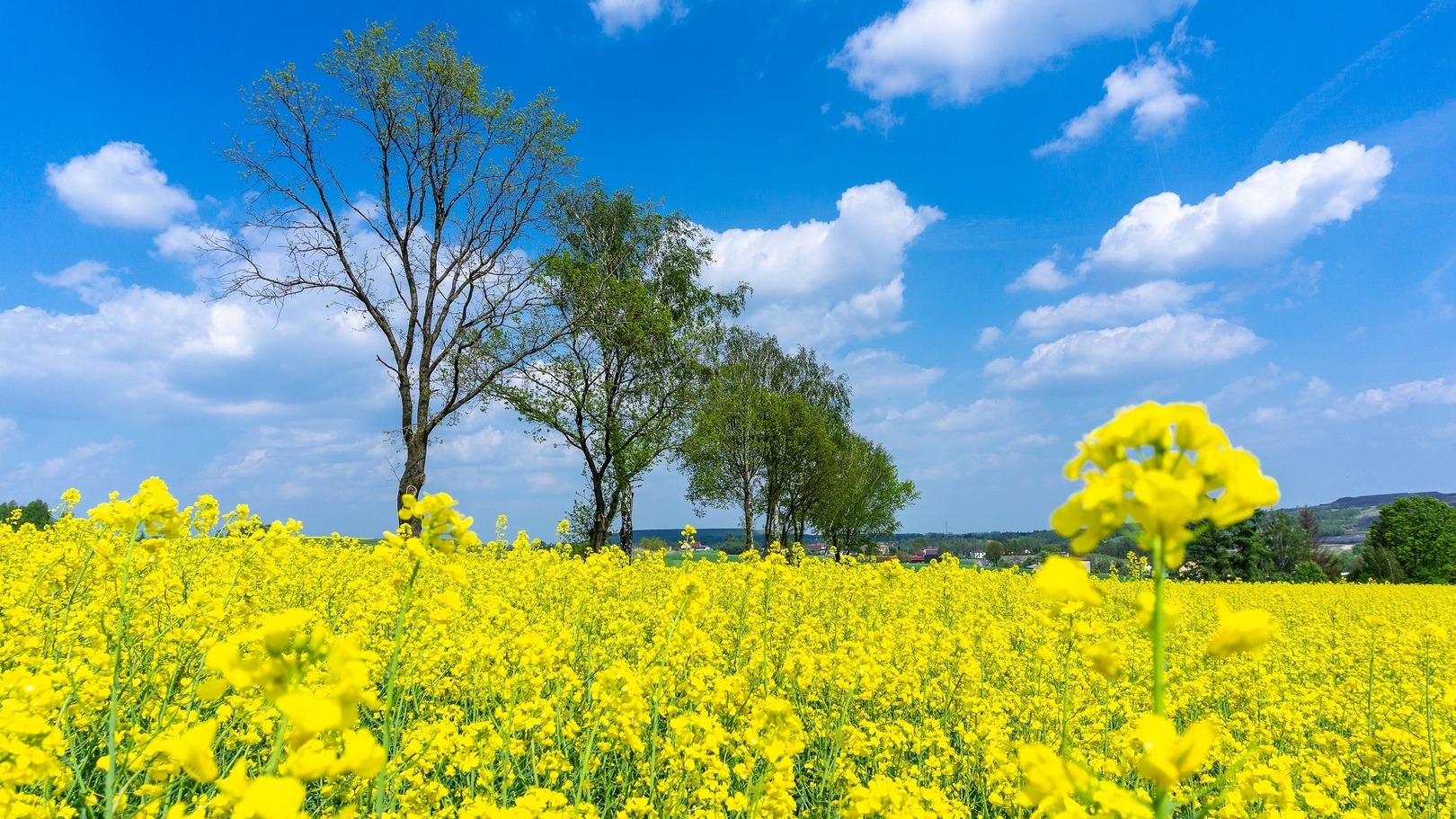 Slider na stronie głównej